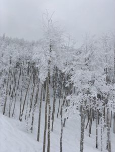 Powderhorn Mountain Resort