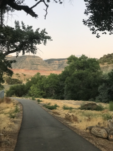 Hikes in Grand junction 